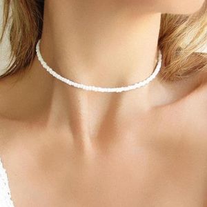 homemade puka shell bead choker